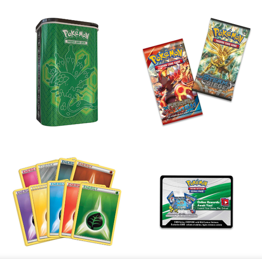 Pokemon TCG Elite Trainer Deck Shield - Zygarde